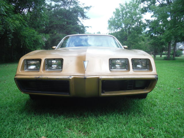 1979 Pontiac Firebird - photo 3