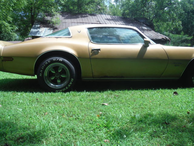 1979 Pontiac Firebird - photo 4