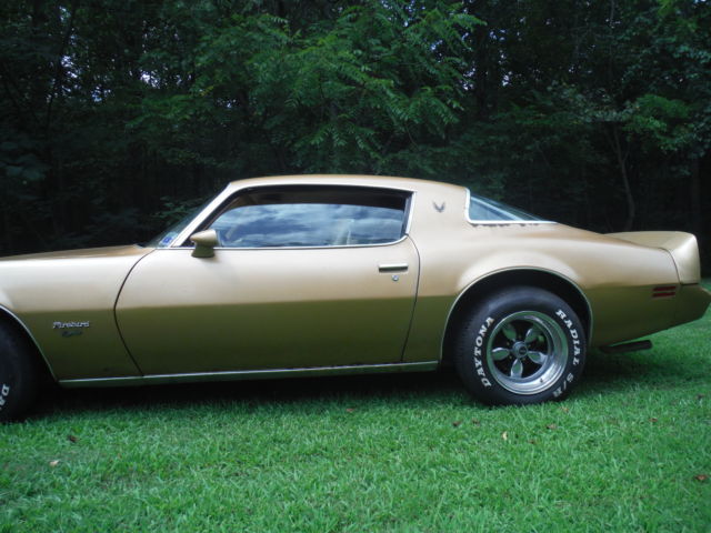 1979 Pontiac Firebird - photo 5