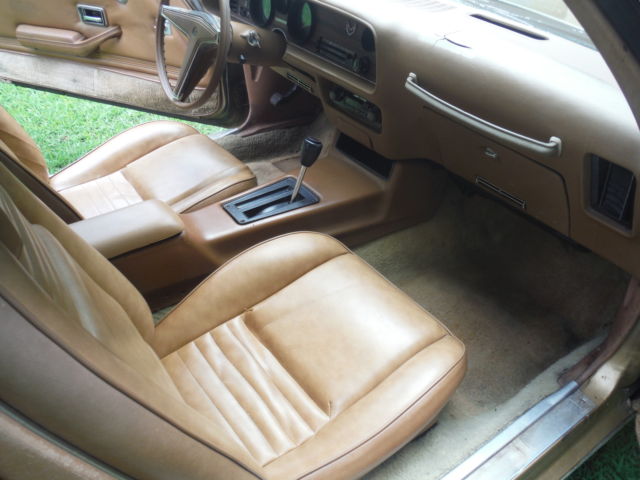 1979 Pontiac Firebird - photo 6