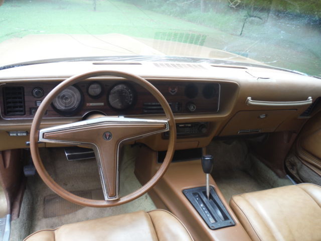 1979 Pontiac Firebird - photo 7
