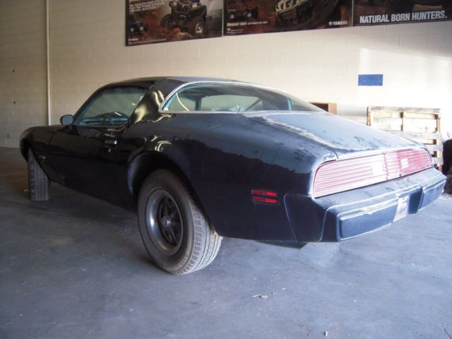 1979 Pontiac Firebird - photo 3