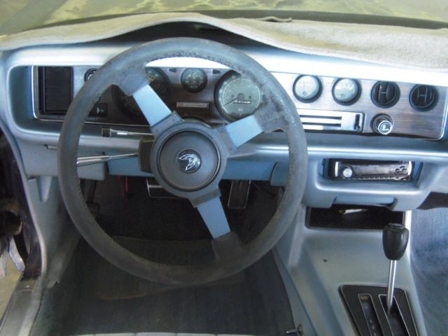 1979 Pontiac Firebird - photo 9