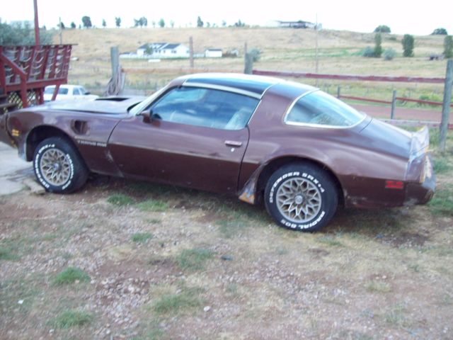 1979 firebird pontiac trans am sd ho ra bandit project transam solid nr firebird 1979 Pontiac Trans Am