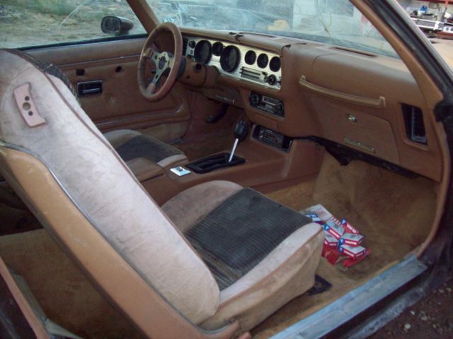 1979 Pontiac Trans Am - photo 10