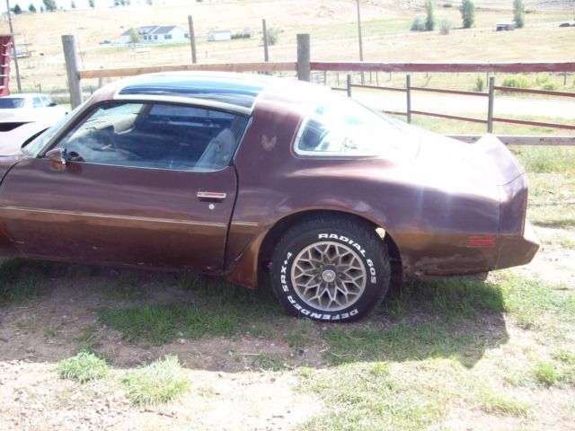 1979 Pontiac Trans Am - photo 11