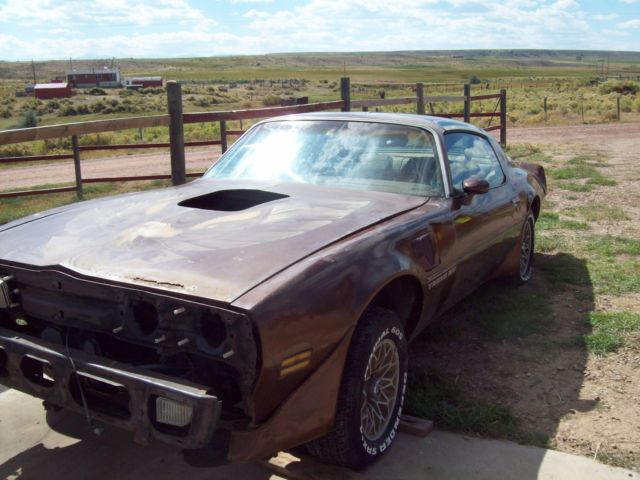 1979 Pontiac Trans Am - photo 13