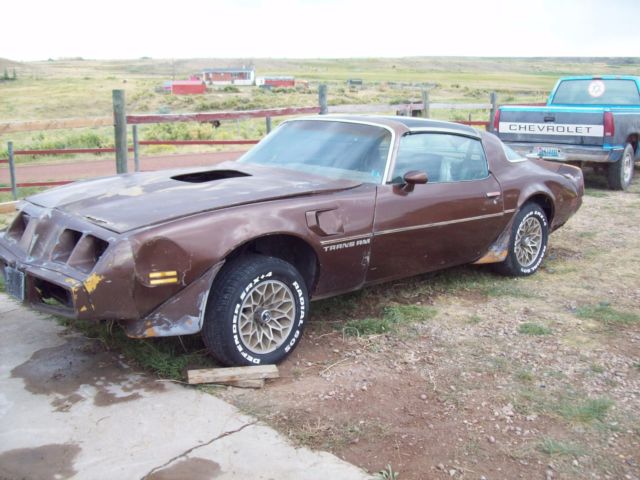 1979 Pontiac Trans Am - photo 3