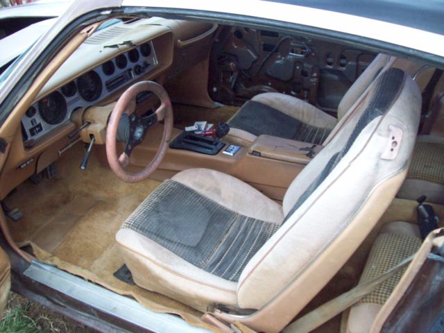 1979 Pontiac Trans Am - photo 4