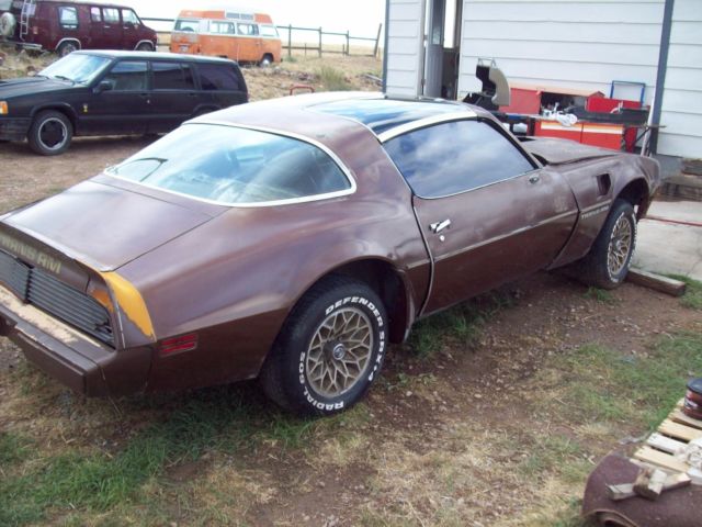 1979 Pontiac Trans Am - photo 5