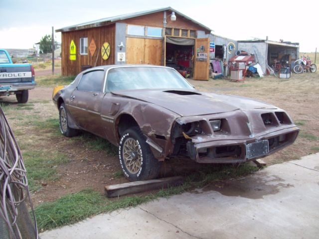 1979 Pontiac Trans Am - photo 6
