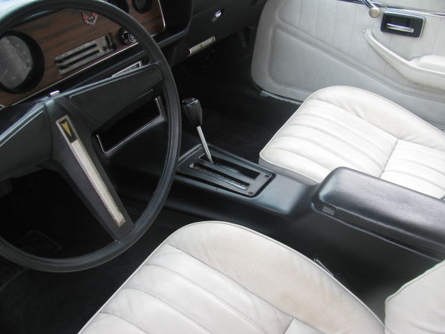 1979 Pontiac Firebird - photo 8