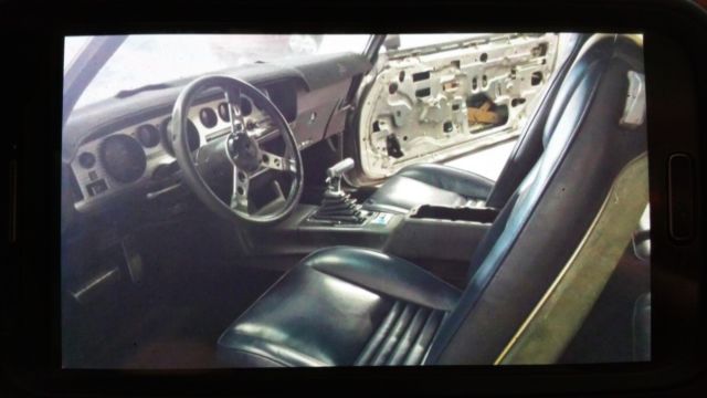 1979 Pontiac Firebird - photo 3