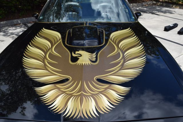 1979 Pontiac Trans Am - photo 10