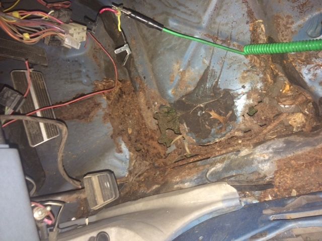 1979 Pontiac Firebird Trans Am - photo 10