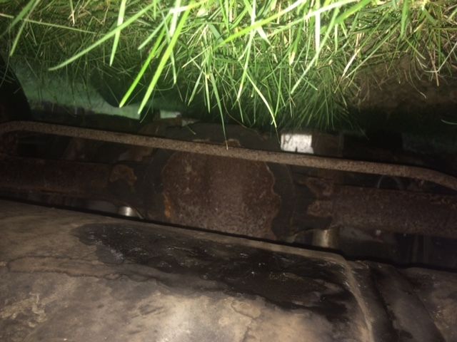 1979 Pontiac Firebird Trans Am - photo 13