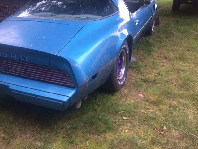 1979 Pontiac Firebird Trans Am - photo 4