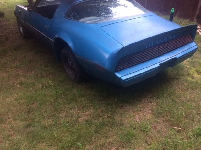 1979 Pontiac Firebird Trans Am - photo 5