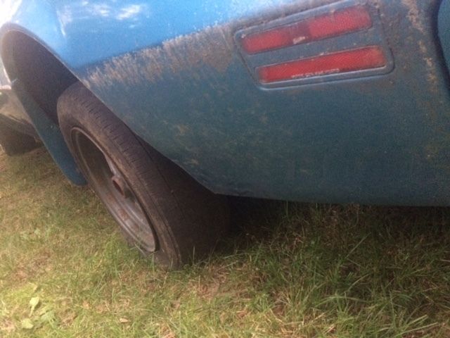 1979 Pontiac Firebird Trans Am - photo 6