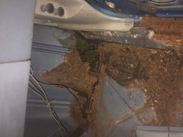 1979 Pontiac Firebird Trans Am - photo 9