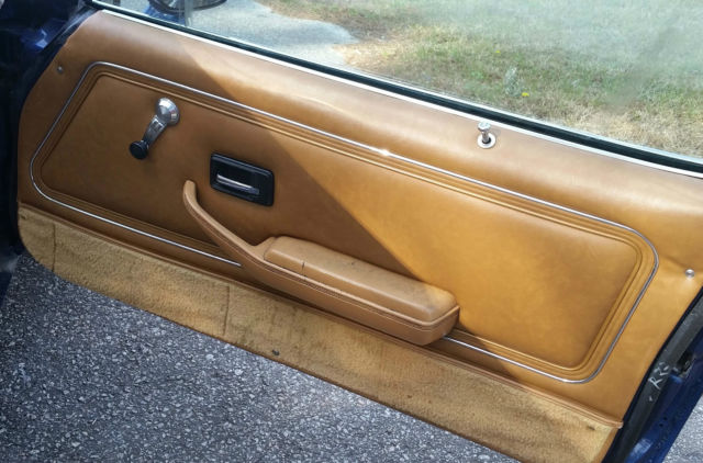 1979 Pontiac Firebird Trans Am - photo 7