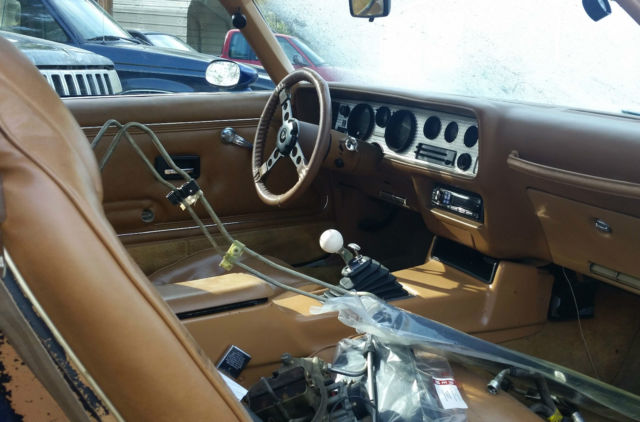 1979 Pontiac Firebird Trans Am - photo 8