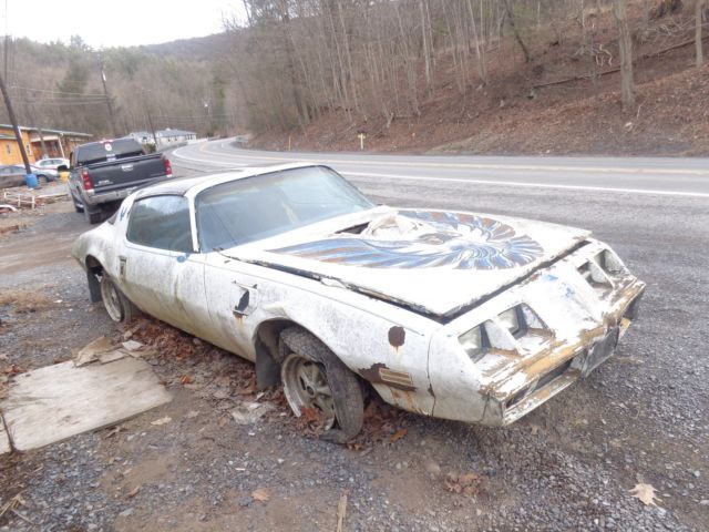 1979 Pontiac Trans Am - photo 3
