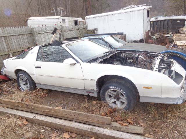 1979 Pontiac Trans Am - photo 7