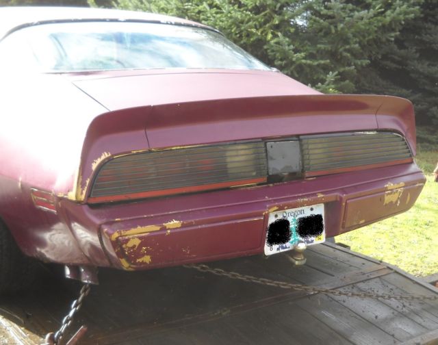 1979 Pontiac Trans Am Factory paint code 50 Solar Gold - photo 4