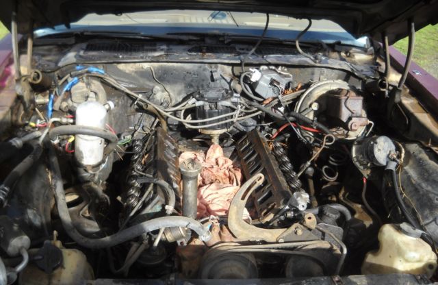 1979 Pontiac Trans Am Factory paint code 50 Solar Gold - photo 6