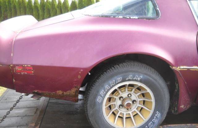 1979 Pontiac Trans Am Factory paint code 50 Solar Gold - photo 8