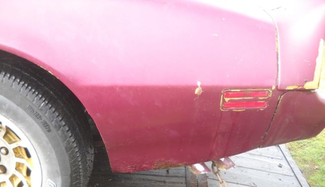 1979 Pontiac Trans Am Factory paint code 50 Solar Gold - photo 9