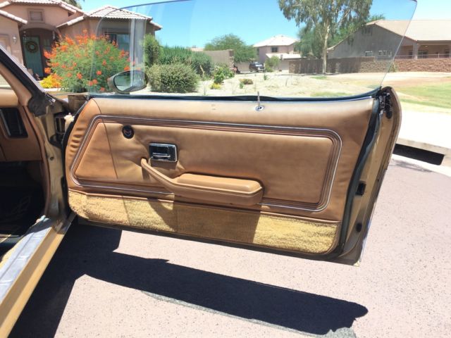 1979 Pontiac Trans Am coupe - photo 12