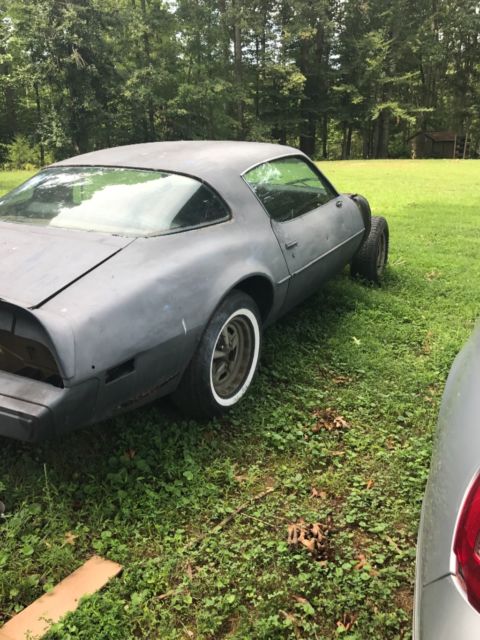1979 Pontiac Firebird - photo 6