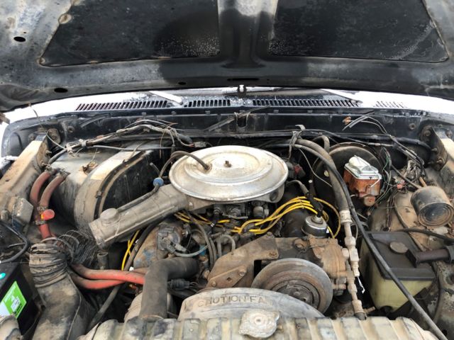 1979 Ford Bronco - photo 3