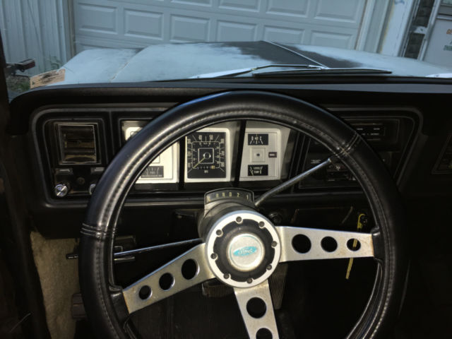 1979 Ford F-150 F-150 CUSTOM - photo 10
