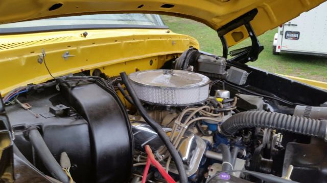 1979 Ford F-250 - photo 12