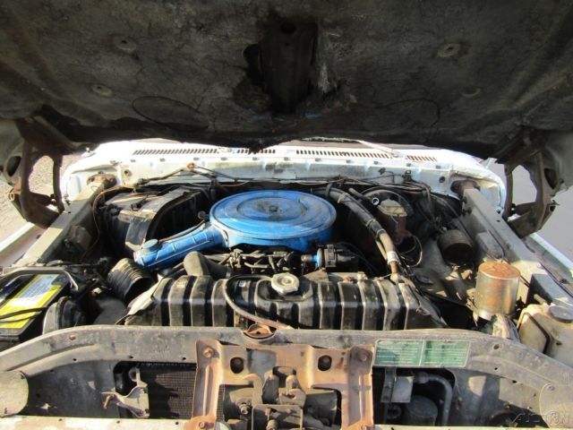 1979 Ford F-250 - photo 9