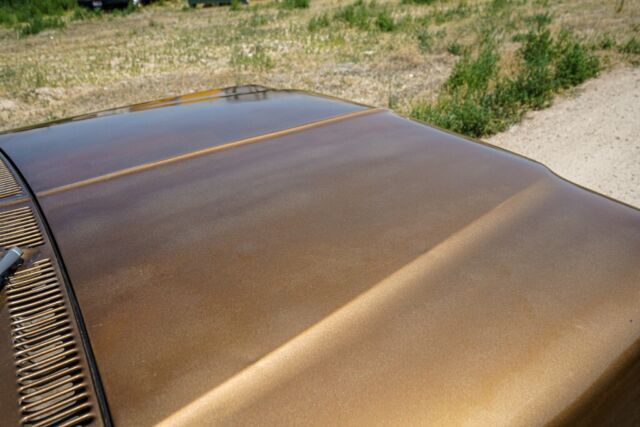 1979 Ford F-250 Ranger SuperCab - photo 8