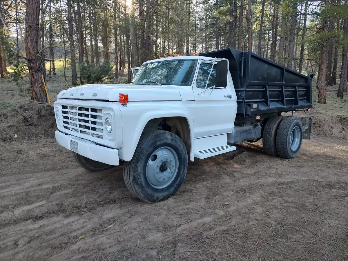 1979 ford f700 dump truck. no CDL required. 1979 Ford Other