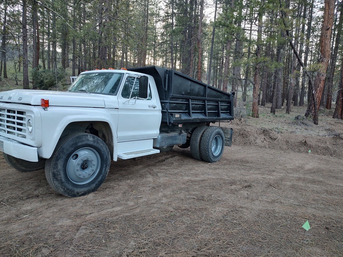 1979 Ford Other - photo 11