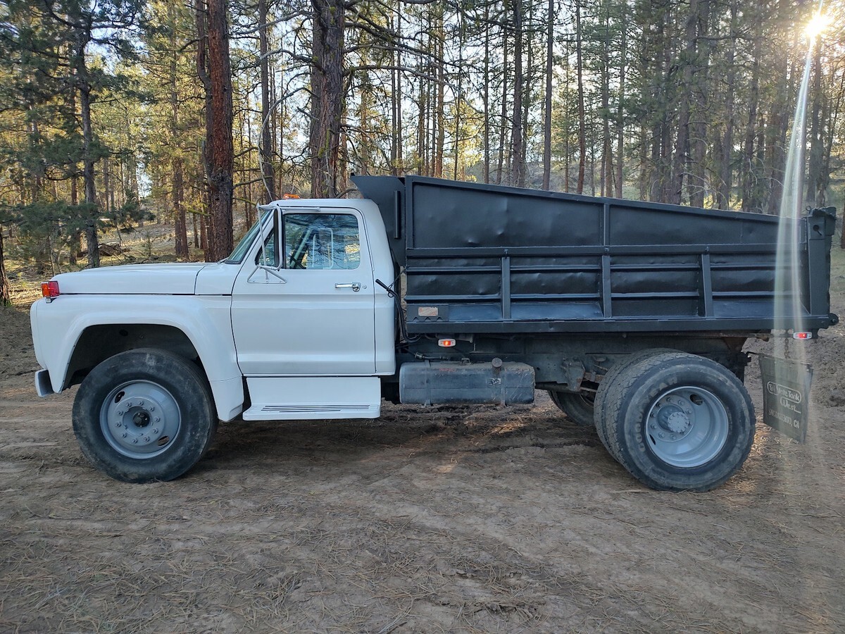 1979 Ford Other - photo 2