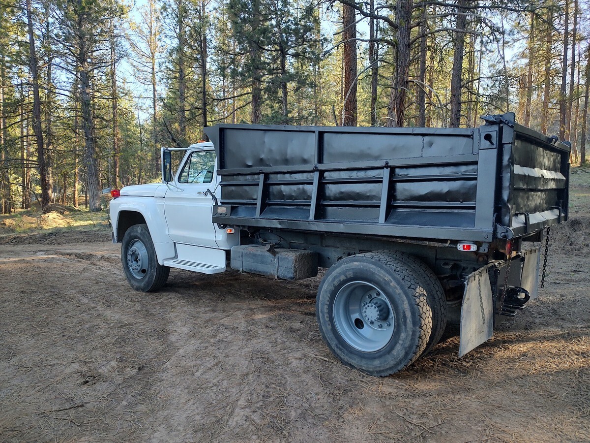 1979 Ford Other - photo 3