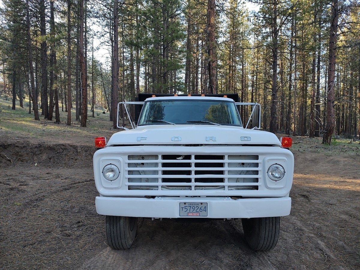 1979 Ford Other - photo 4
