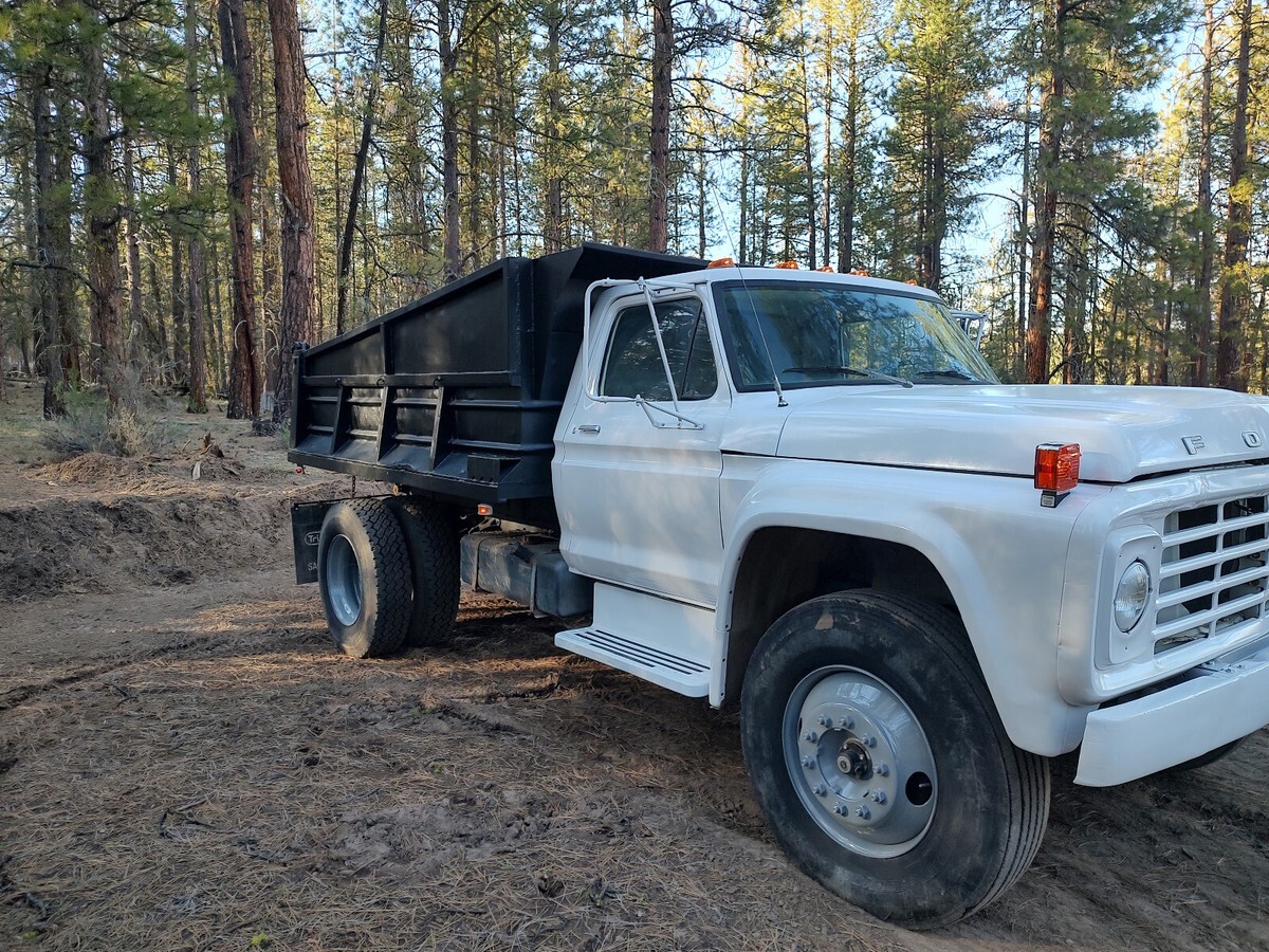 1979 Ford Other - photo 5