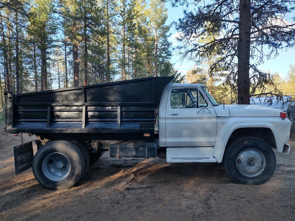 1979 Ford Other - photo 6