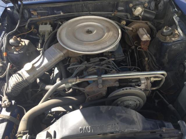 1979 Ford Fairmont station wagon - photo 4