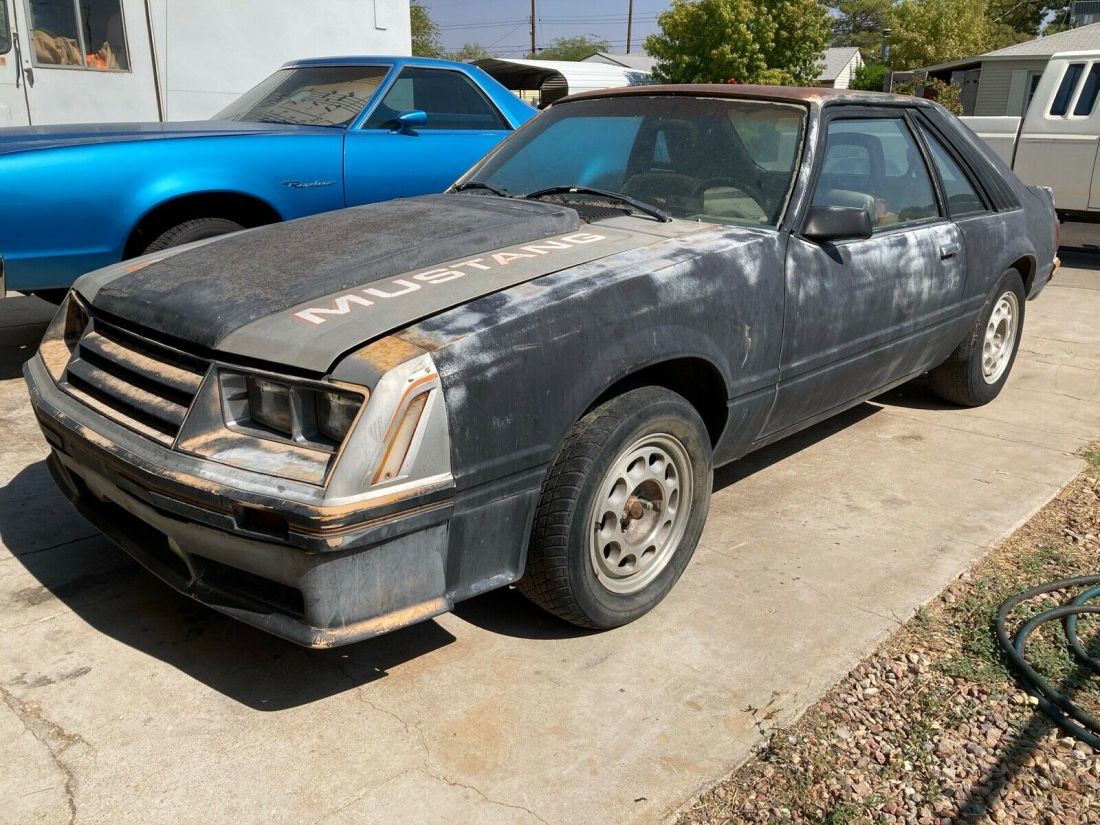 1979 Ford Mustang - photo 2