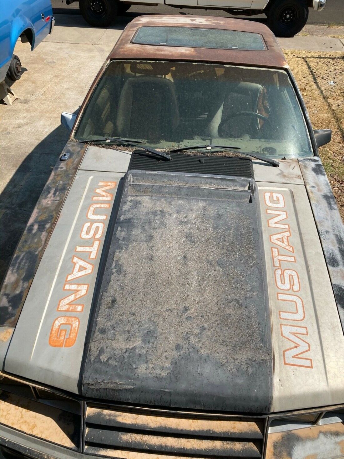 1979 Ford Mustang - photo 4