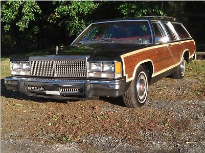 1979 Ford Crown Victoria WOODGRAIN - photo 3